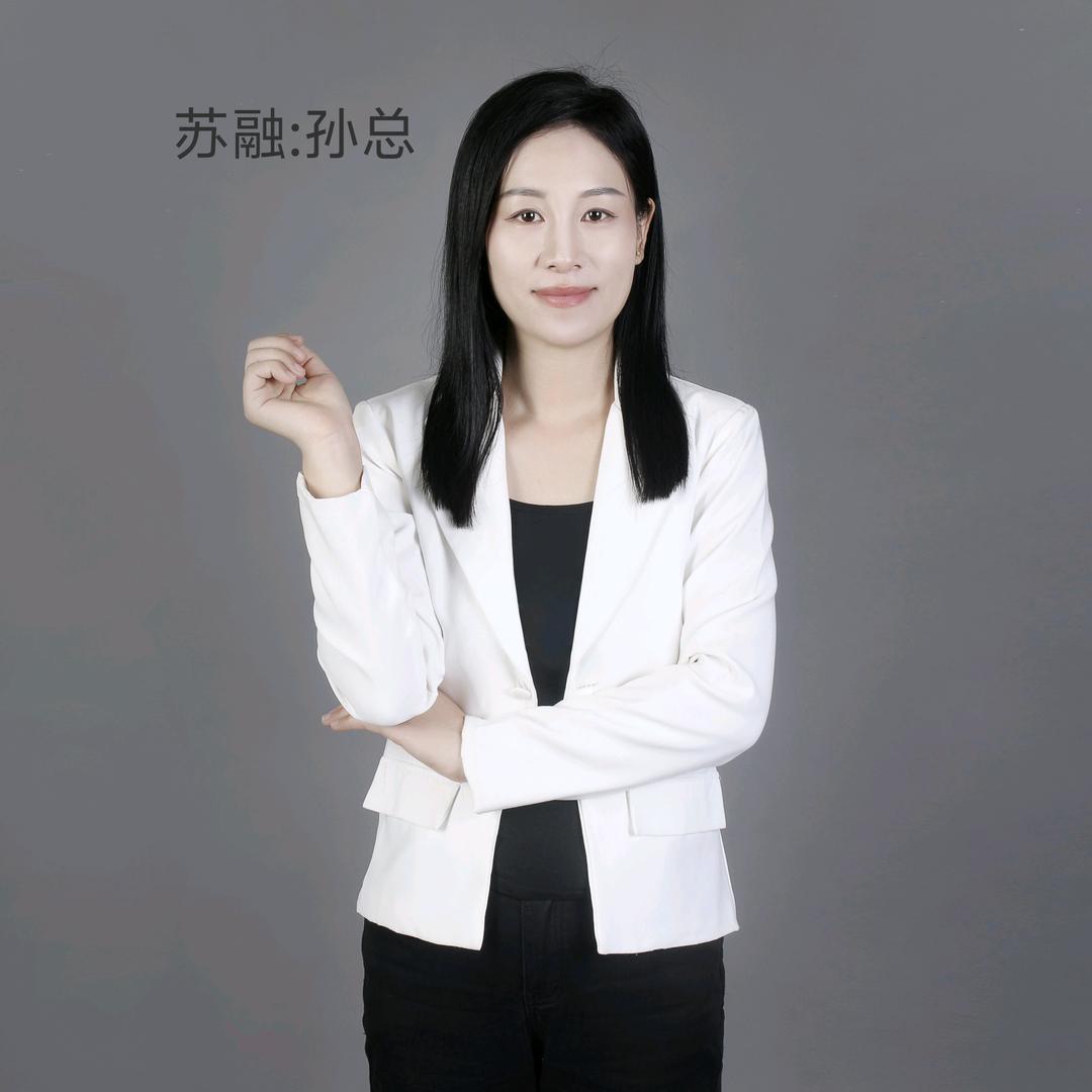 苏融电器企业店