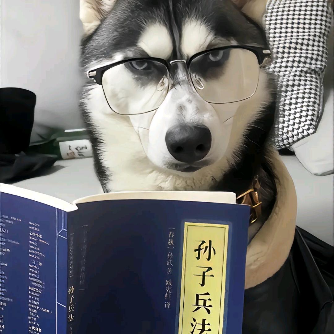 小宋同学