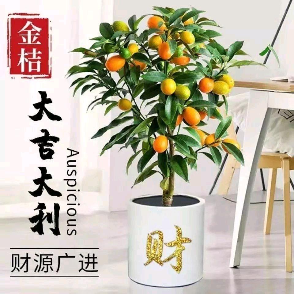 兄弟园艺坊