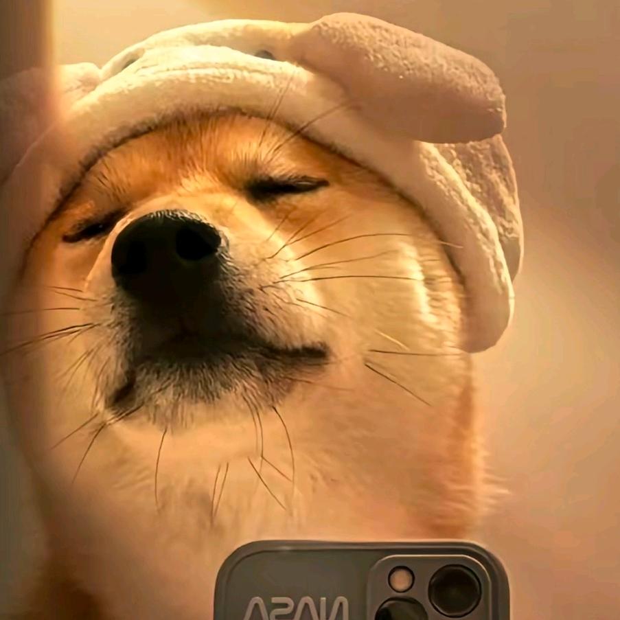 甲合集团创始人狼鹰  萧靖虎