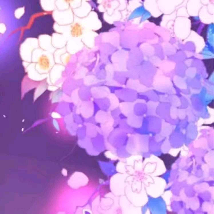 湖南团购光之使者