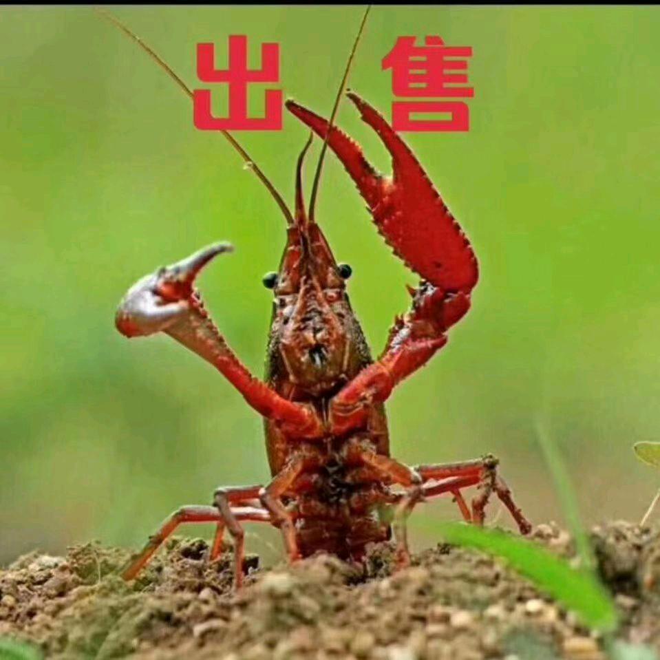 谢守卫