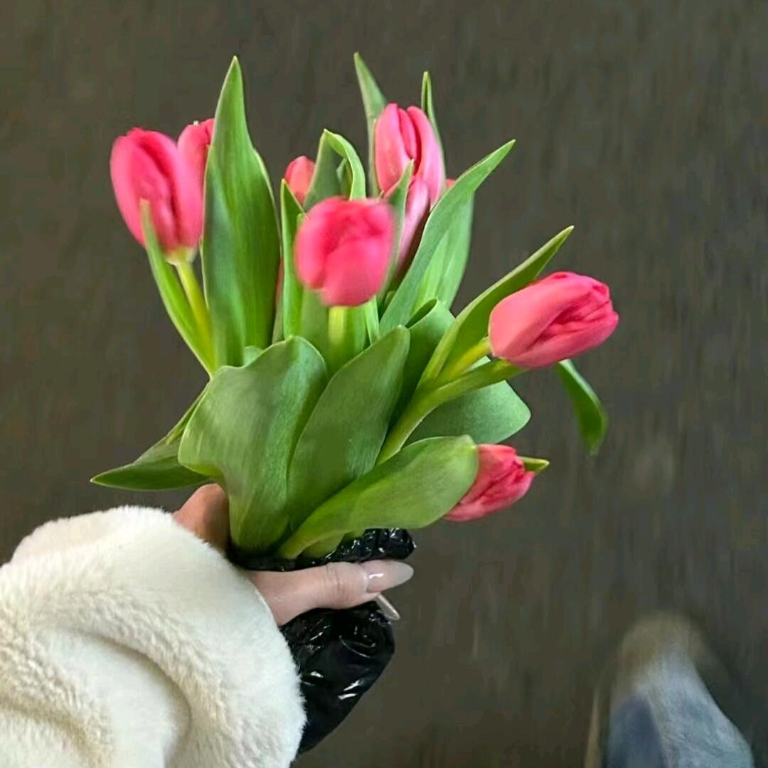 丽丽吖