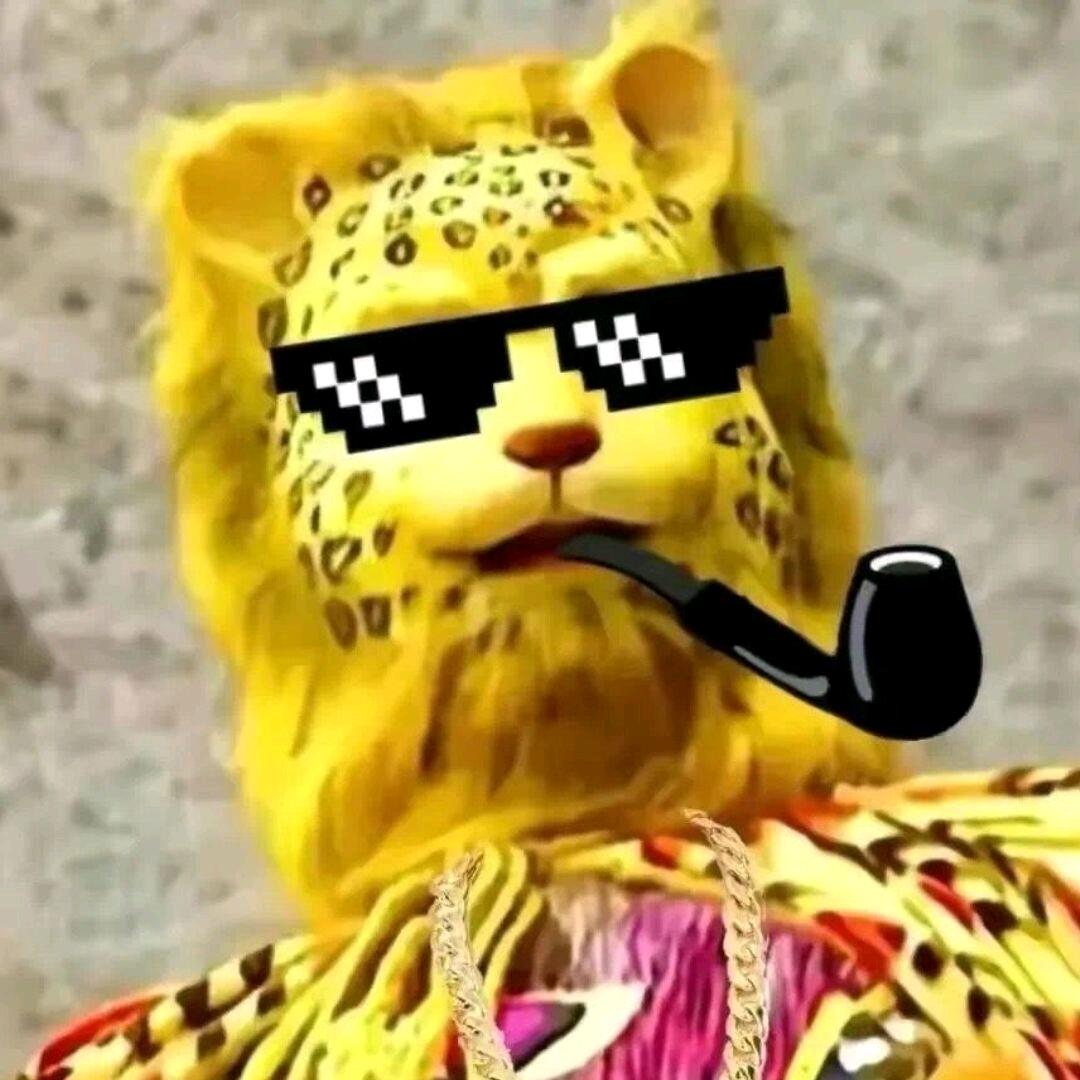 通 知