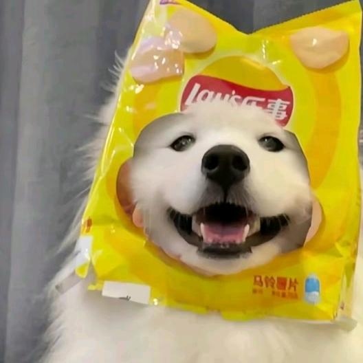 𝙑𝙞𝙘𝙩𝙤𝙧