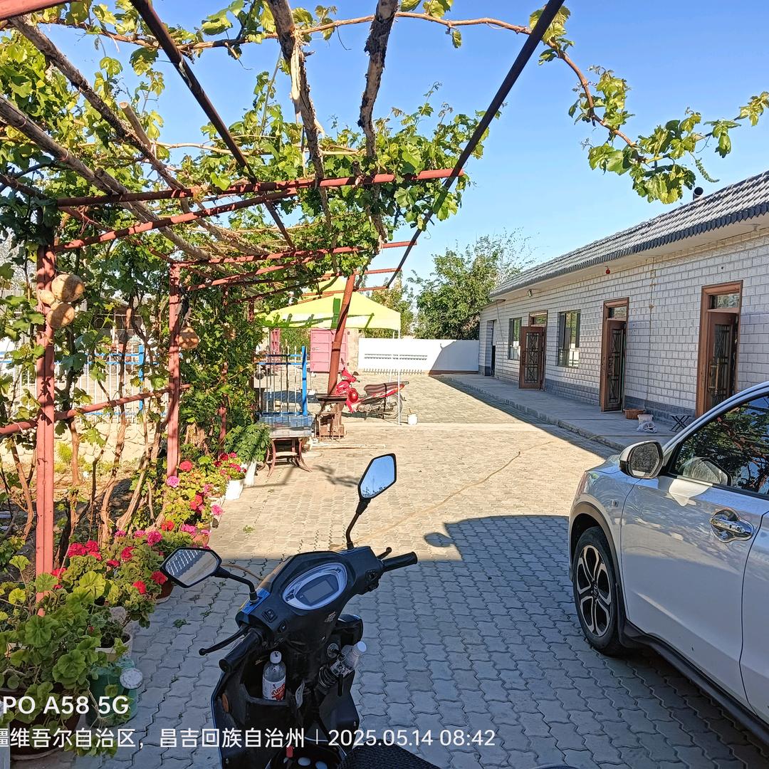 新疆耿哥农村实拍