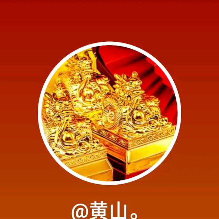 自由飞翔龙的传人。