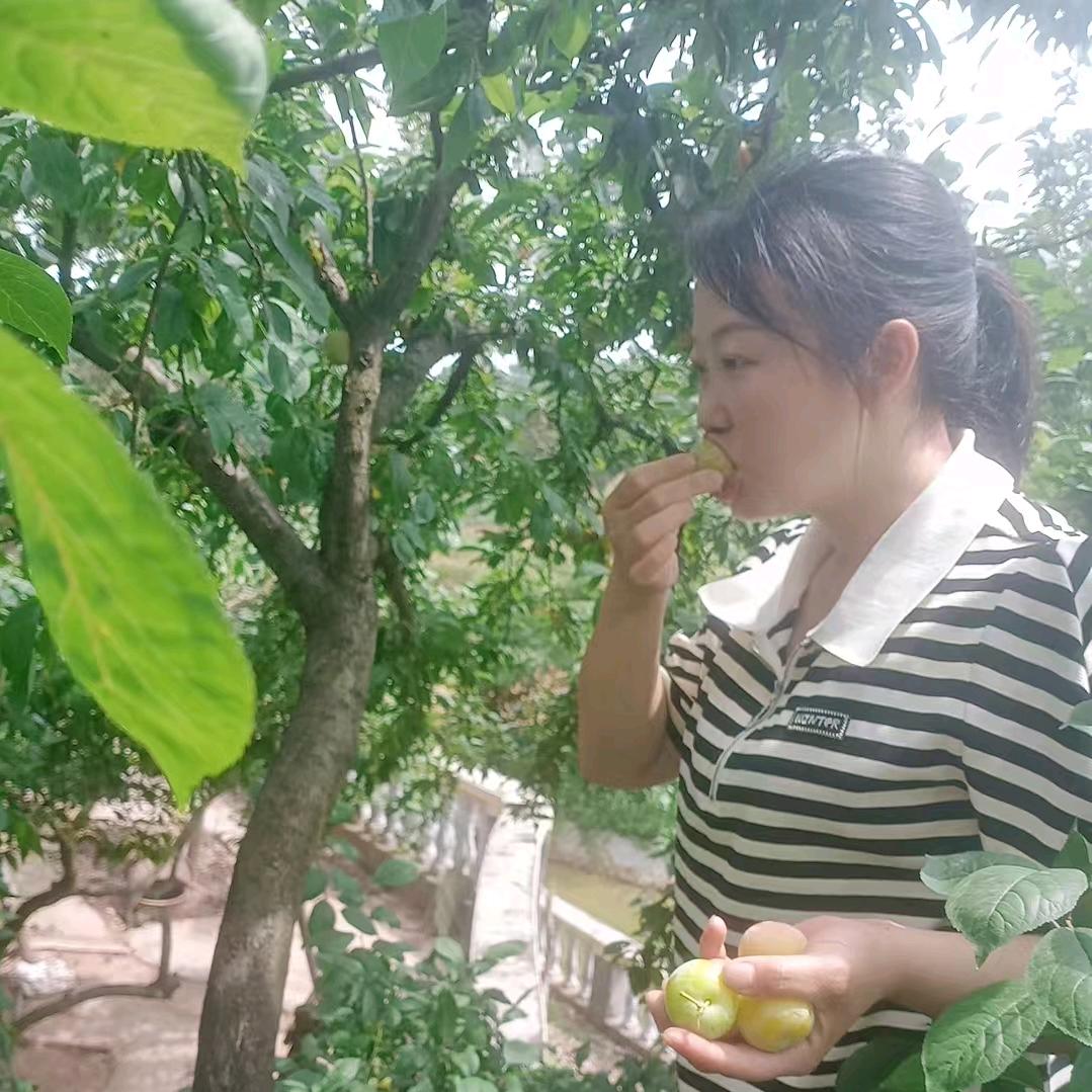 红尘过客