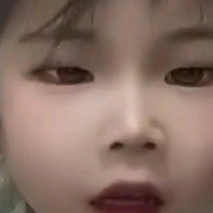 情缘情缘204509
