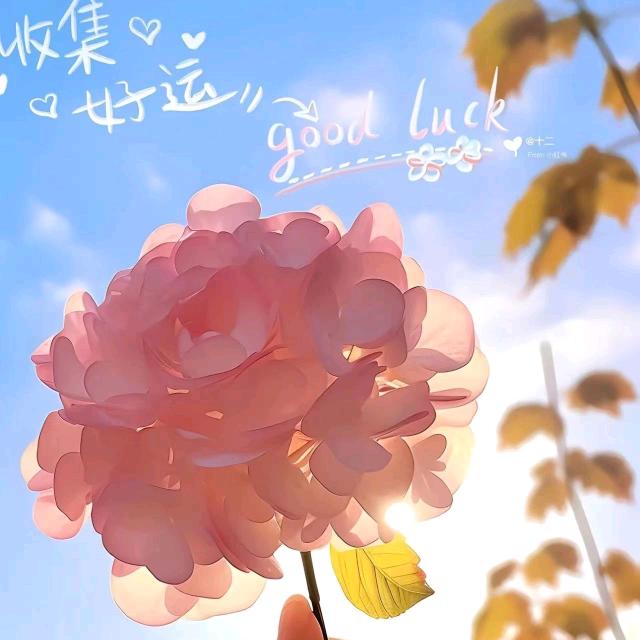 欣欣 ˋˏᰔᩚˎˊ˗