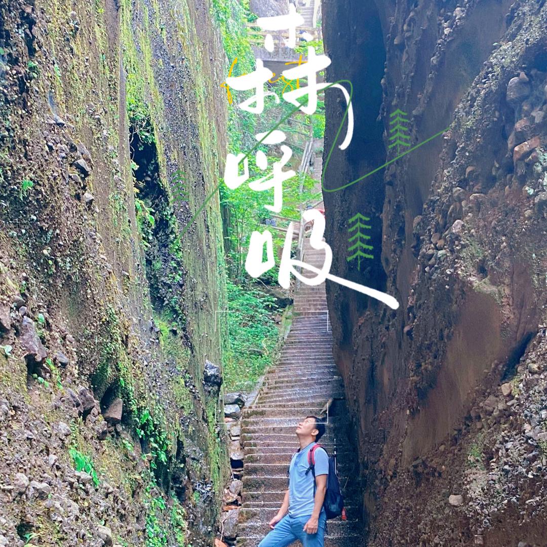 小路薄荷糖