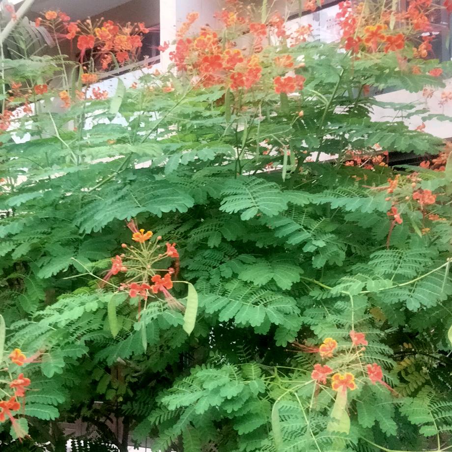 用户92531307806来生再见拒私聊