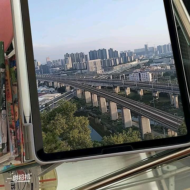 随风桉蓝