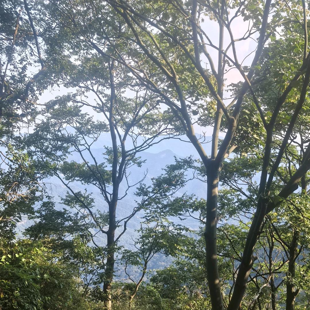 入了心动了情
