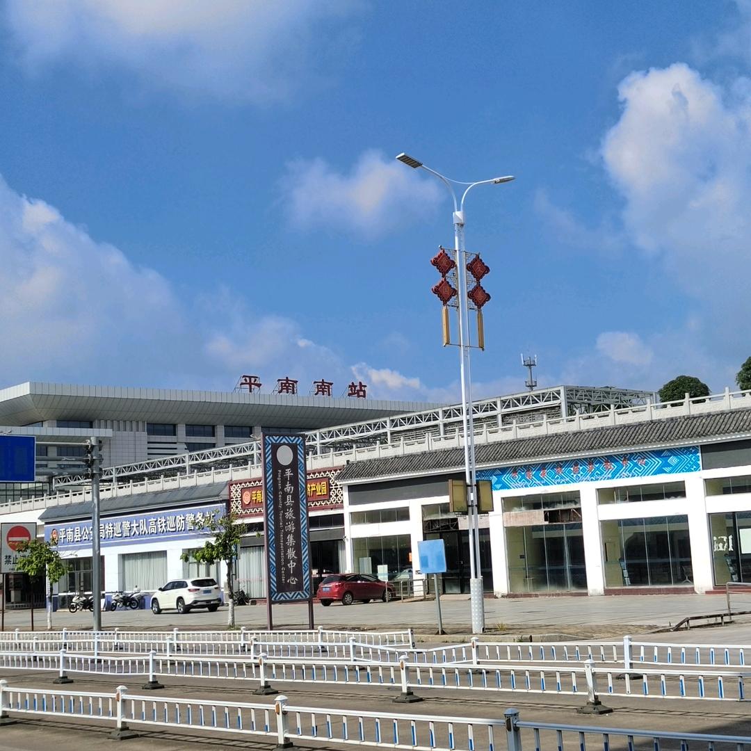菩提树