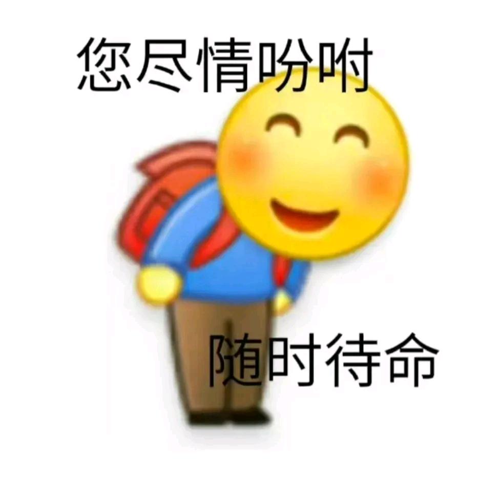 V力宋宋