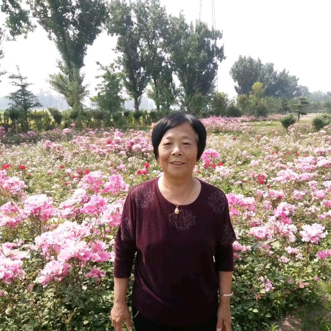 张振梅