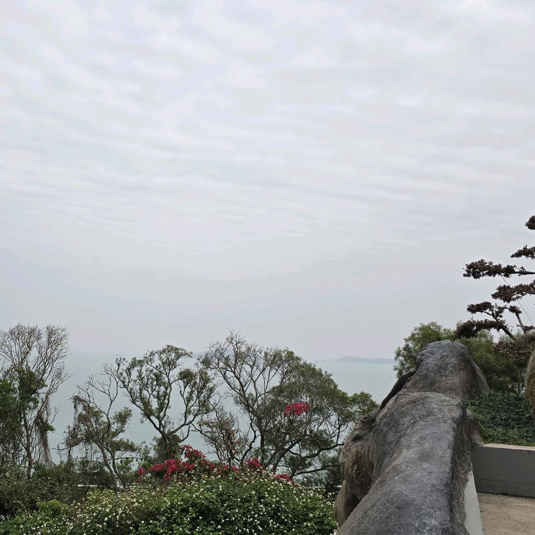 小白龙旺旺