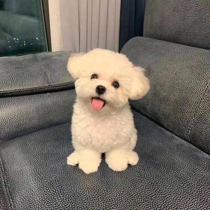 好无聊