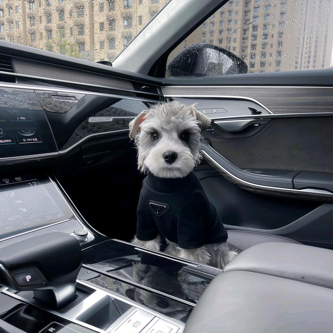 抖音用户166874291