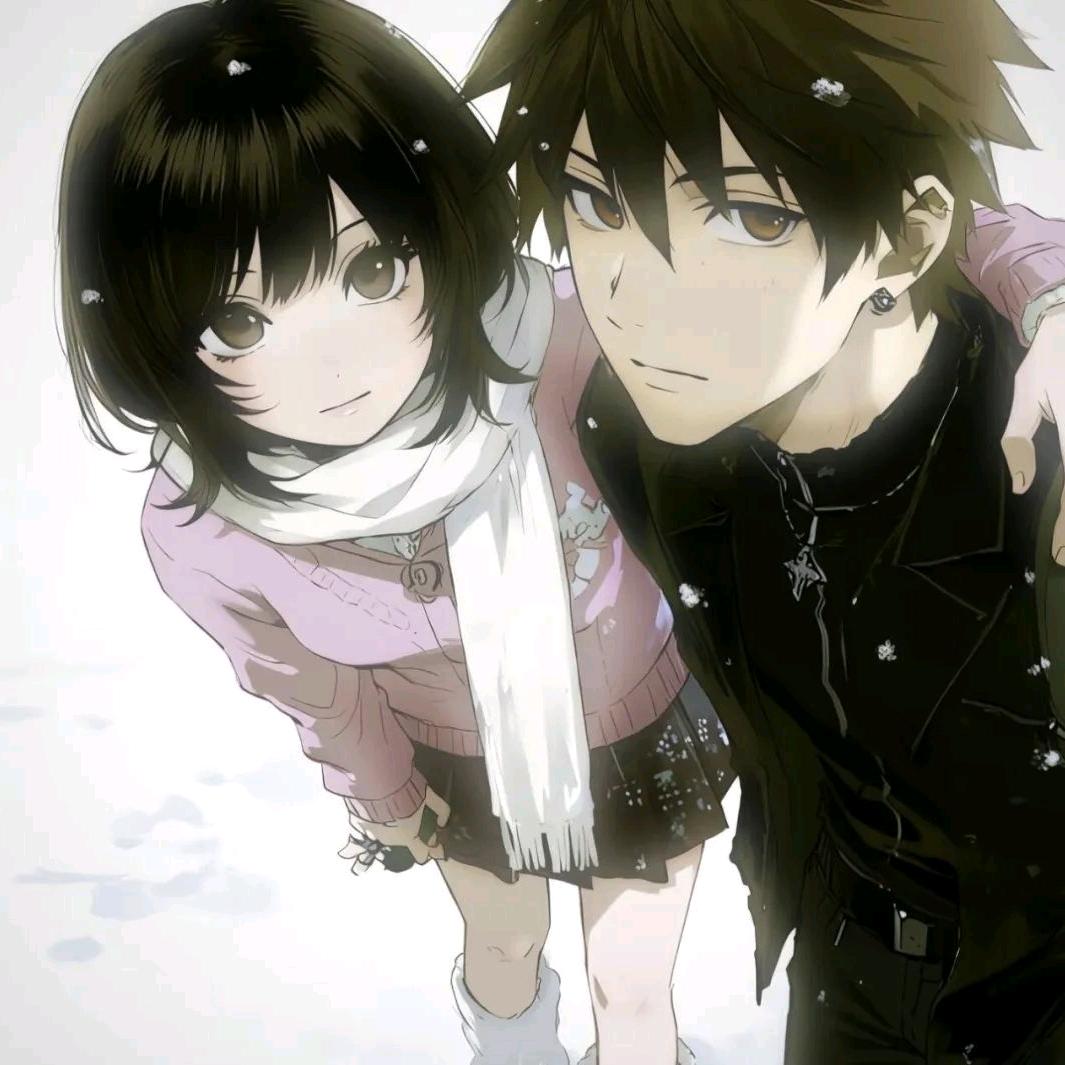 酸奶味的奥利奥🍪