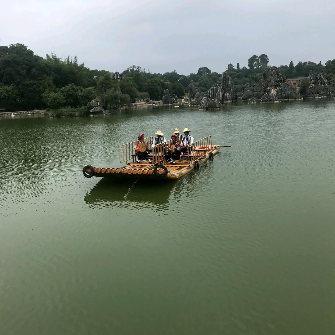 一路向楊