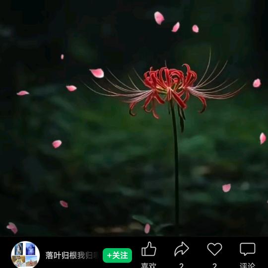 过往烟云