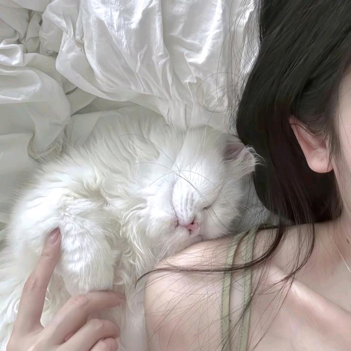 涵💒