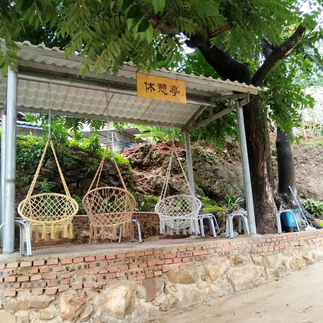 走出大山的孩子