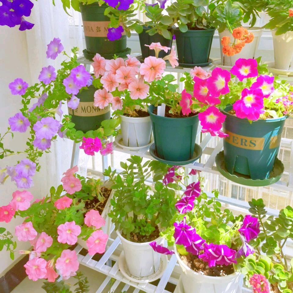 草木坊园艺