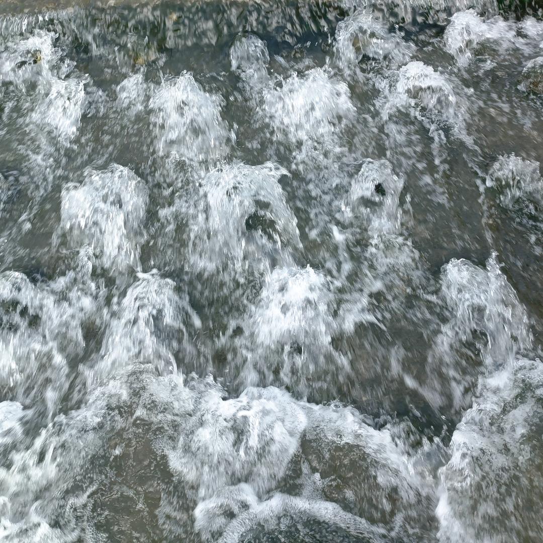 小金金