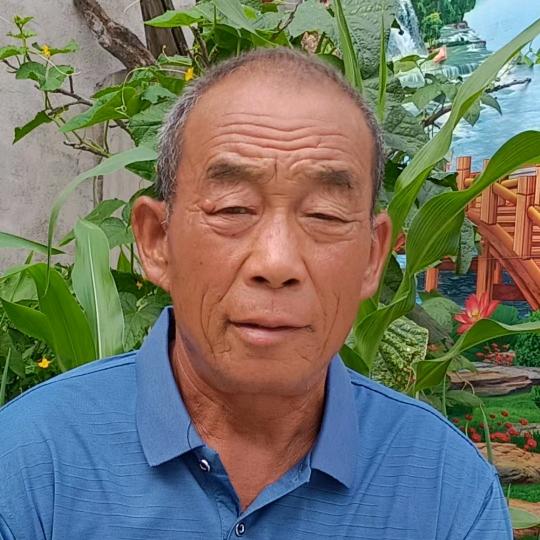 松树