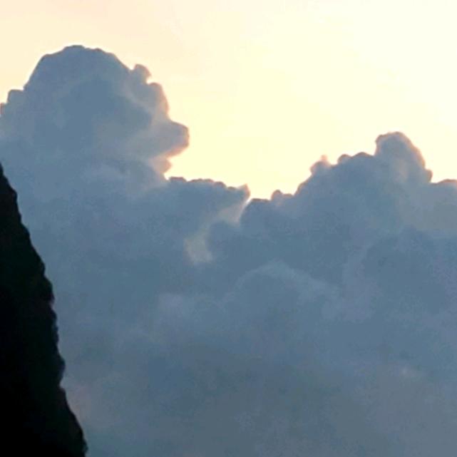 兰烬