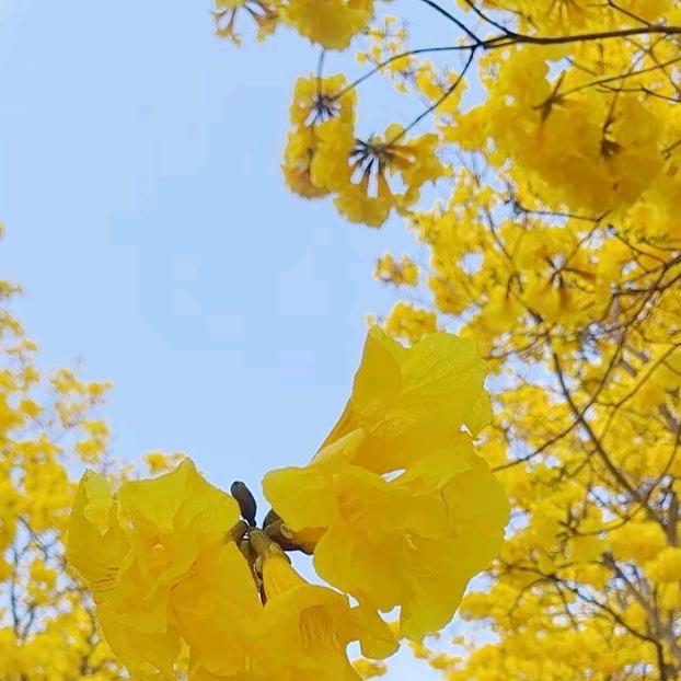 汽修
