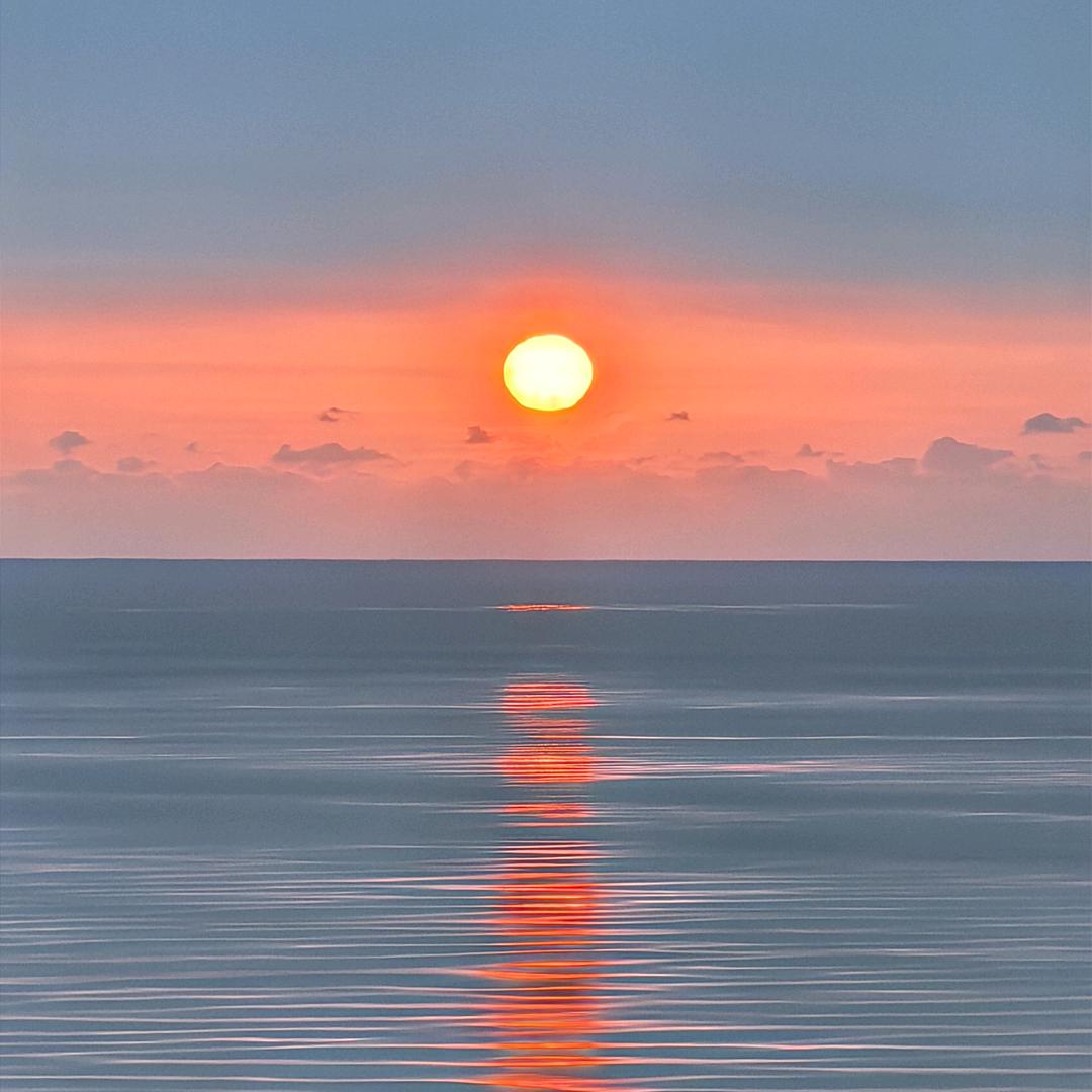 奔波儿霸霸波儿奔