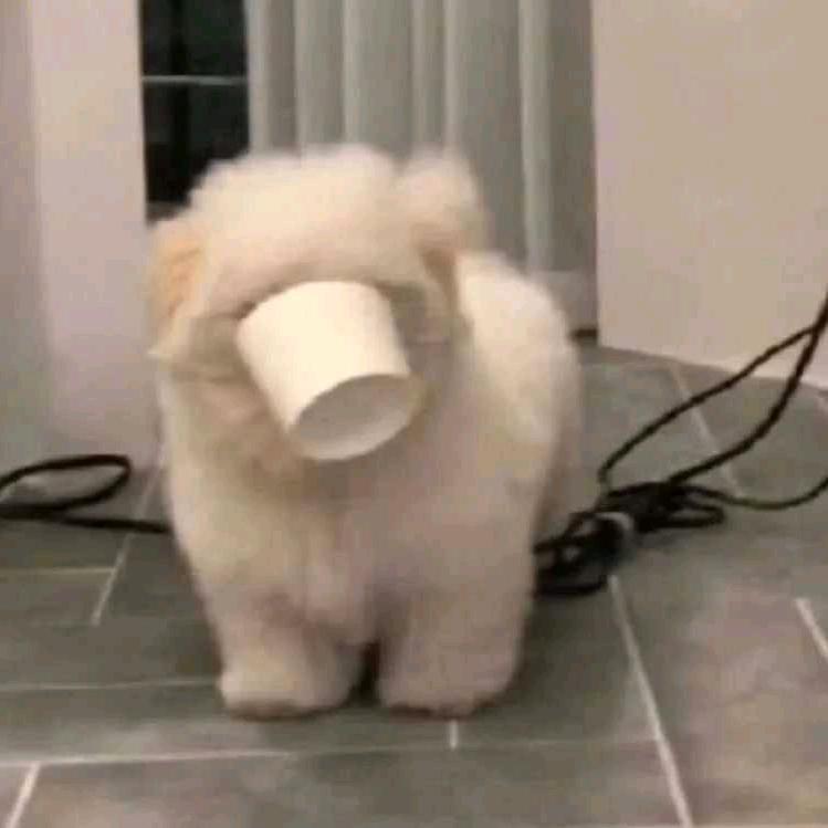 ooooo