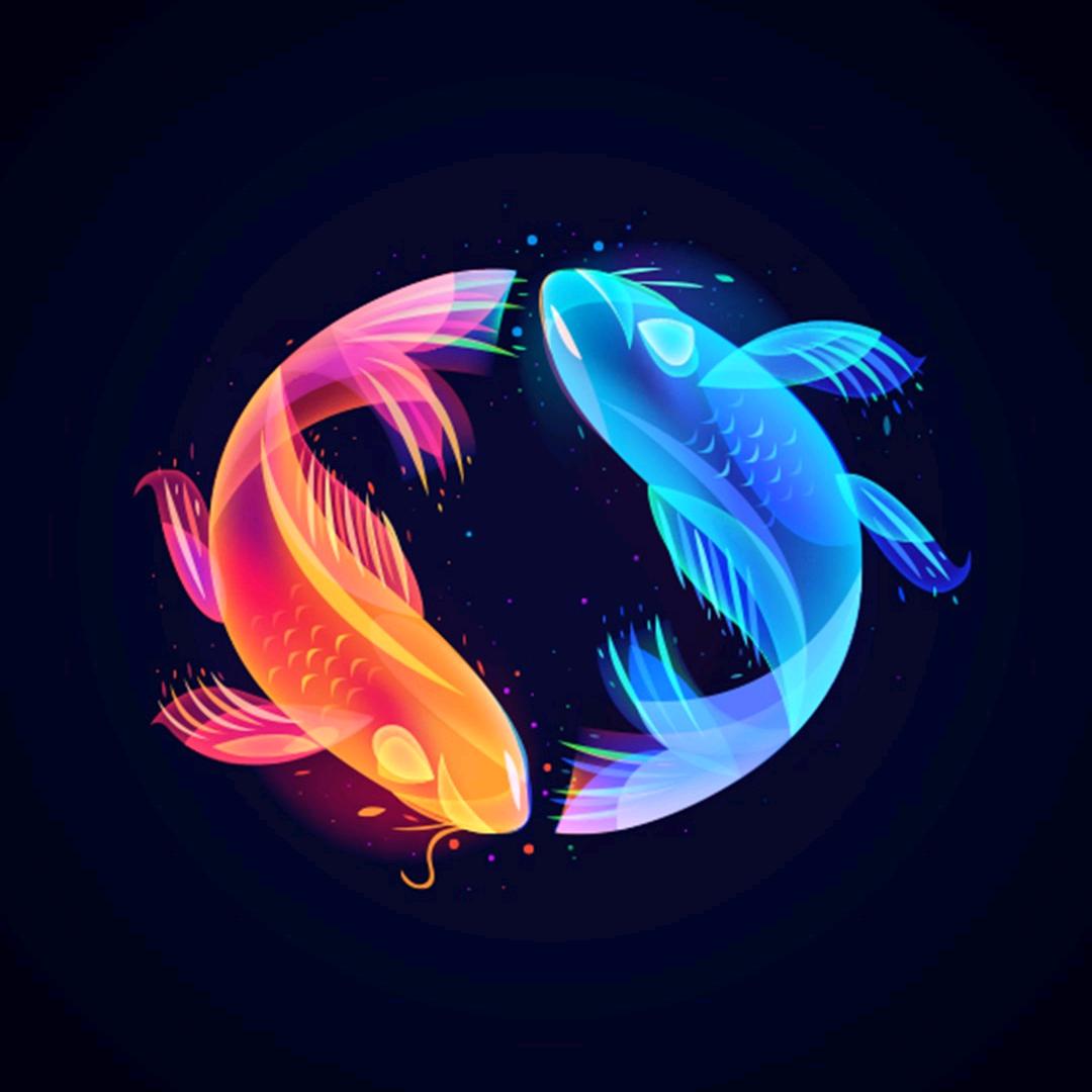 点藏之星