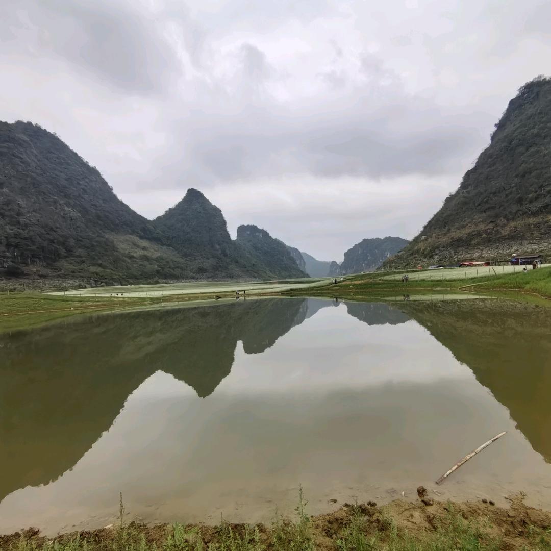 霞霞