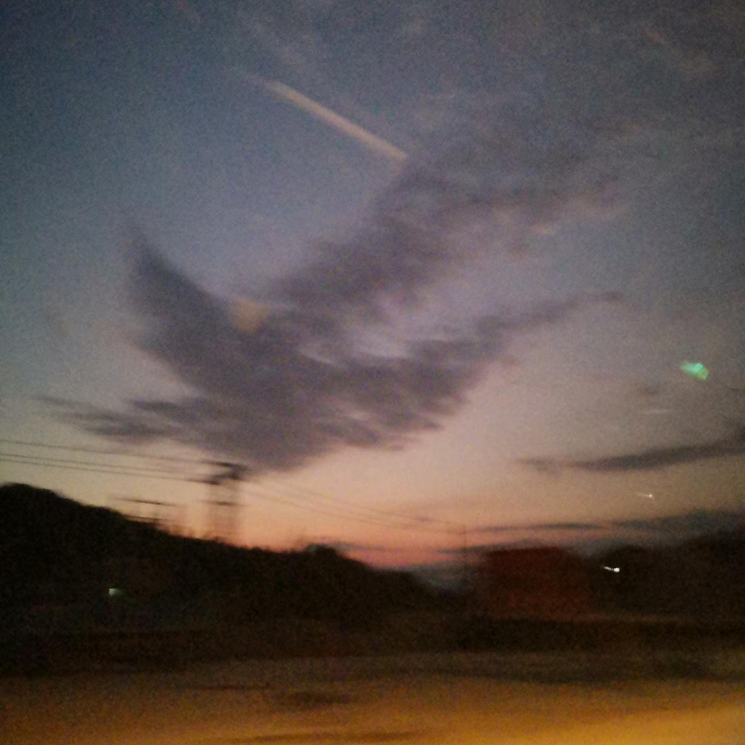 火辣辣糖醋里脊