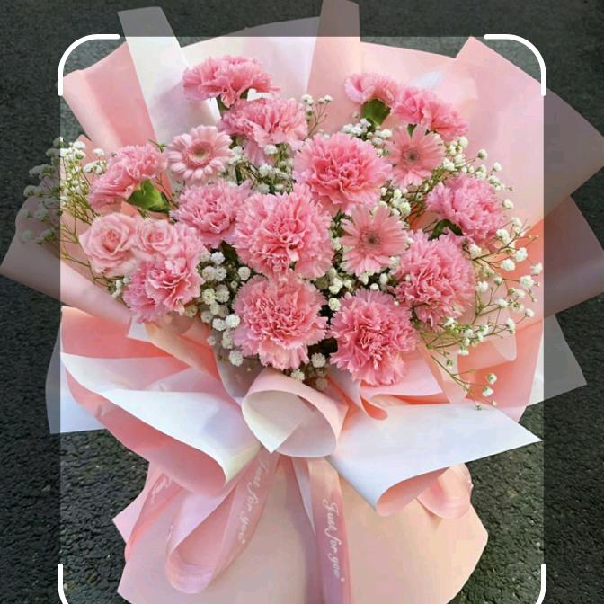 梦想🍎🍎起航🌹🌹