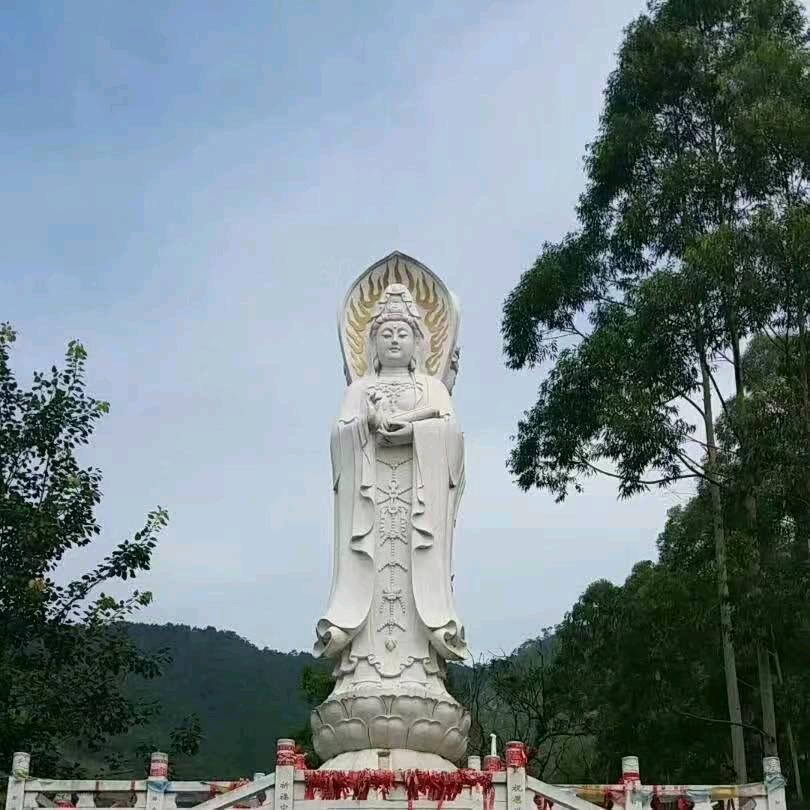 野生山货，黄牛🐮