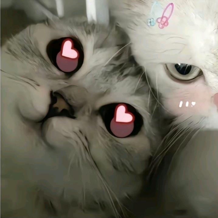 哈哈哈哈.