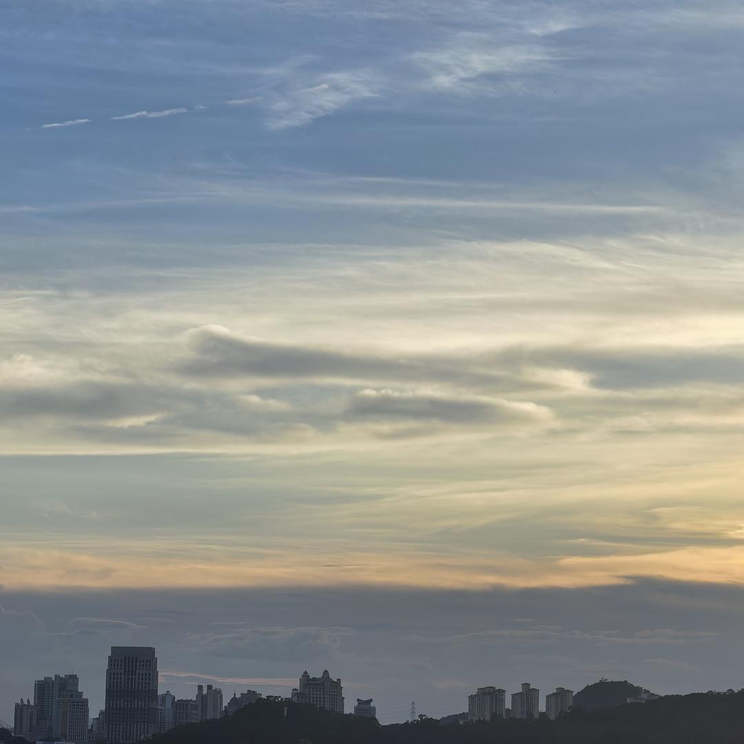 牛少的沪漂生活