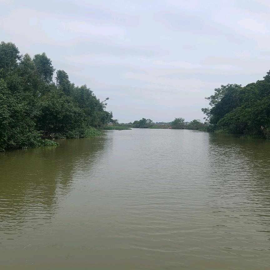 众里寻她千百度