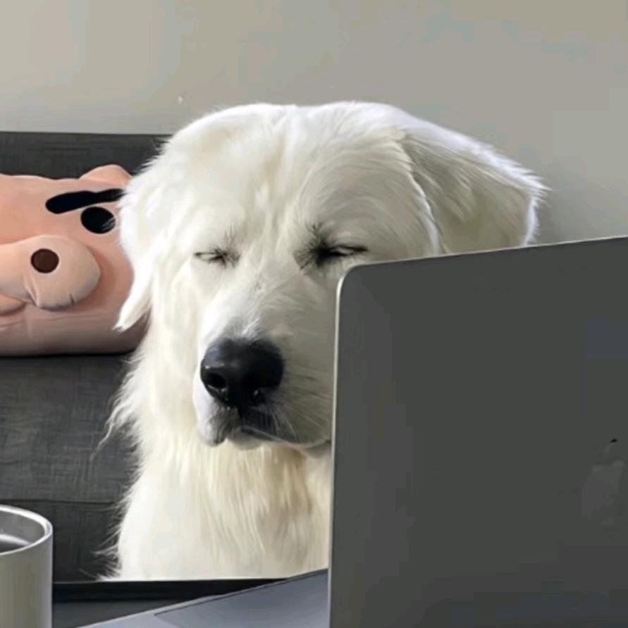 L00