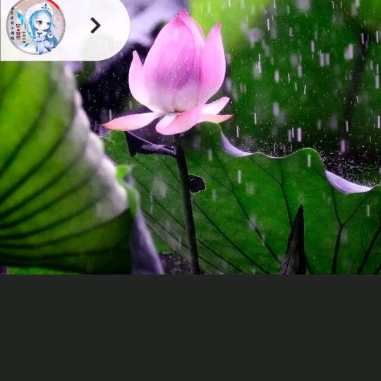 云中燕