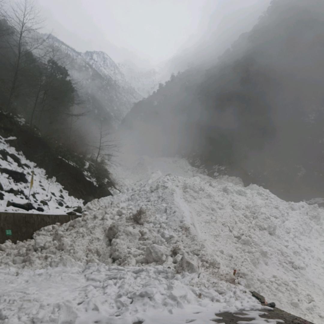 ༄℘⃝木℘⃝子℘⃝克℘⃝克金金金࿐