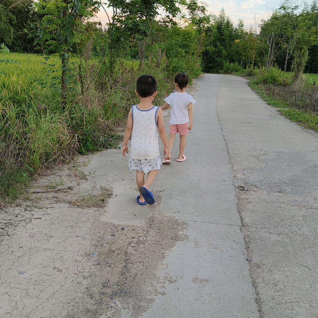 向阳葵花🌻