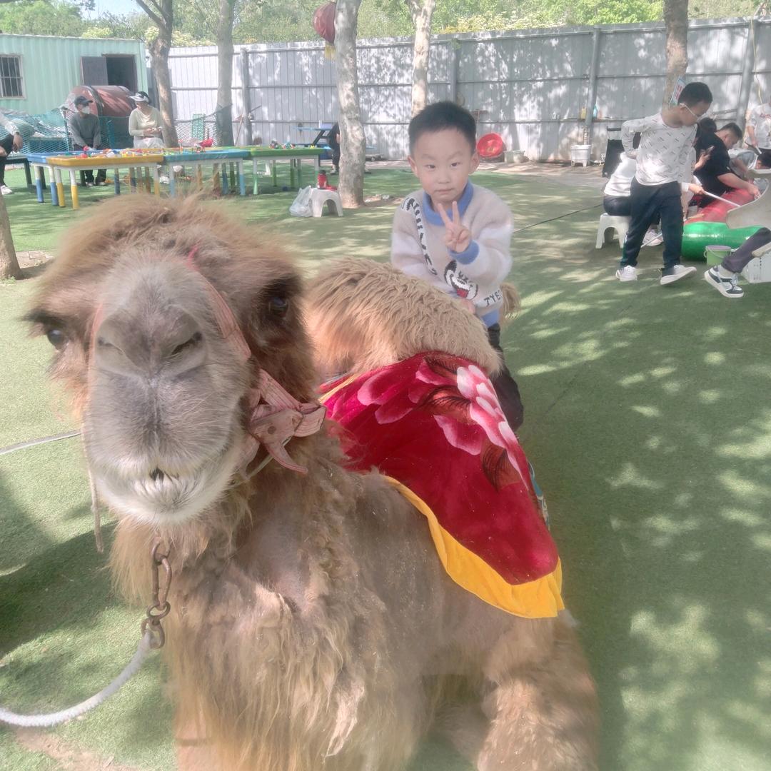 我是慧头像