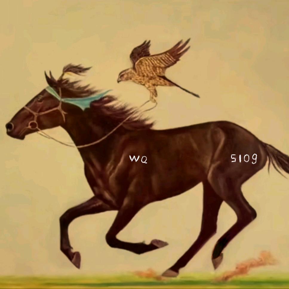 VIP小哥🗣